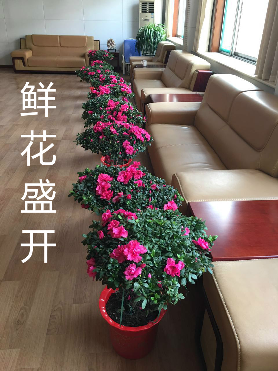 꺮 ػů