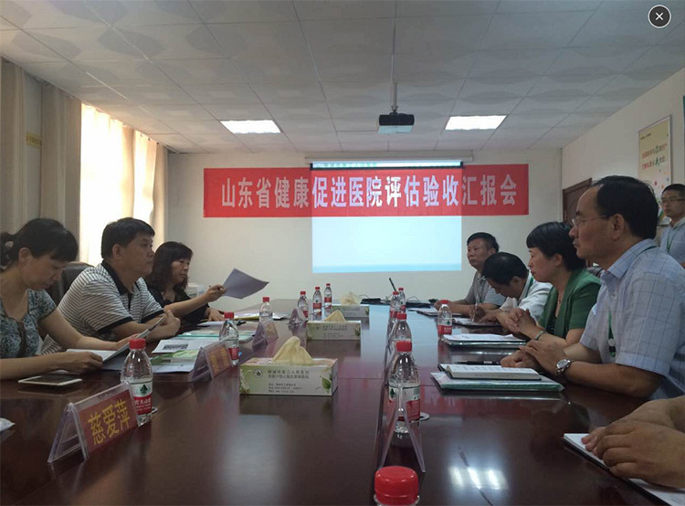 省级健康促进医院评估小组对我院进行评估验收